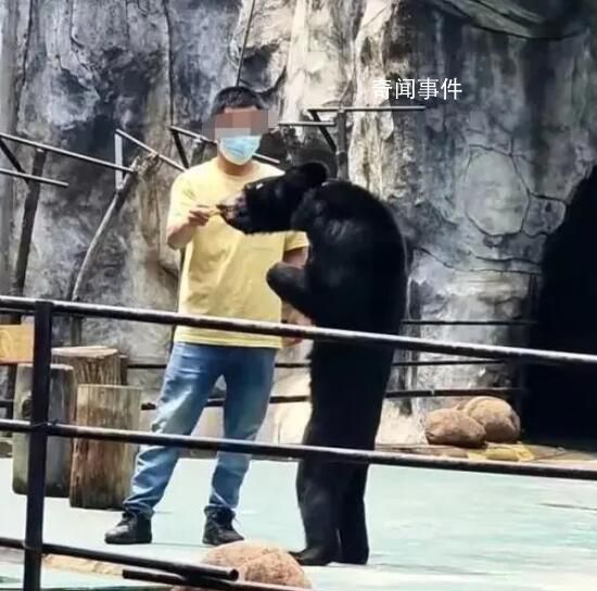 动物园一黑熊骨瘦如柴?园方回应