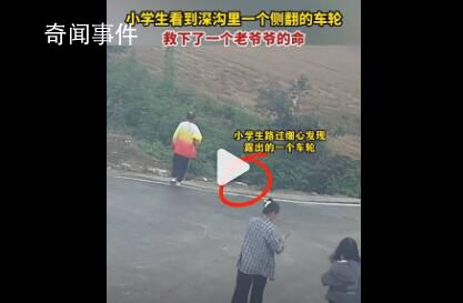 小学生发现深沟露出车轮救人一命 路过群众纷纷上前帮忙