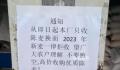 面粉厂不收今年新小麦?当地回应