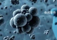 北京发现两例猴痘病例 其中一例为境外输入病例