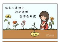 给1291万高考生的手绘 自己的那颗种子会不会开花