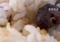 省教育厅介入食堂老鼠头事件调查 其他承包商称受牵连