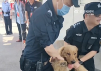 金毛冲进考场被民警无情请出 网友：大学梦就这样破碎了