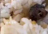 鼠头鸭脖食堂意见反馈群曝光 事件还在持续发酵当中