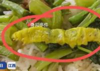 鼠头鸭脖涉事高校学生称吃出大青虫 看到吓坏了