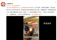 公鸡打鸣影响考生 主人:今晚吃鸡