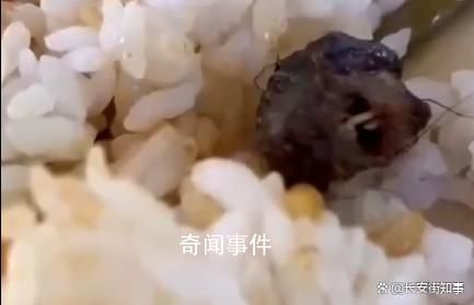 江西成立鼠头鸭脖事件联合调查组 