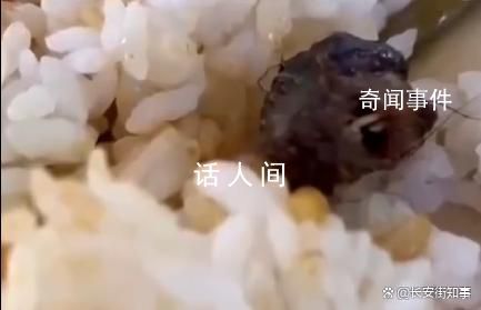 江西就鸭脖事件成立联合调查组 将及时向社会公布有关调查处理情况