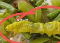 实地探访“鸭脖事件”涉事学校