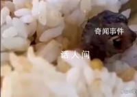 江西酒鸭脖事件成立联合调查组
