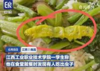 起底江西“鼠头鸭脖”食堂承包商 背后食堂承包商曝光