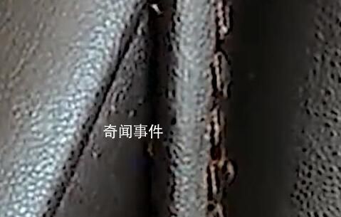 火车站按摩椅现大量虫子 看着好吓人