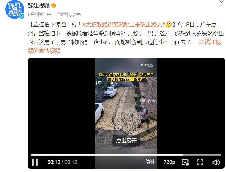男子被墙角的蛇跳出攻击 被吓得一路小跑