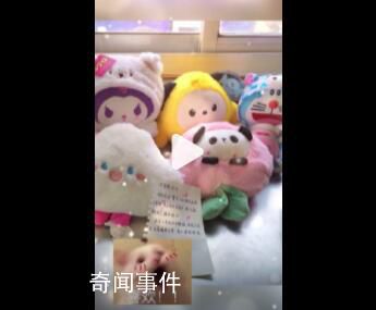 女孩高考后送娃娃给护考交警 超有爱互动