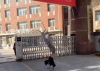 北京高考结束 考生翻跟头出考场