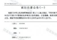 华为四年前已注册Vision Pro商标