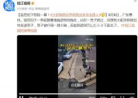 男子被墙角的蛇跳出攻击 被吓得一路小跑