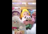 女孩高考后送娃娃给护考交警 超有爱互动