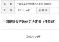 男子操纵201个股票账户 被罚2亿 