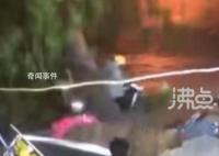 大树被吹倒外卖小哥弯腰躲过 真是太惊险了看着就后怕
