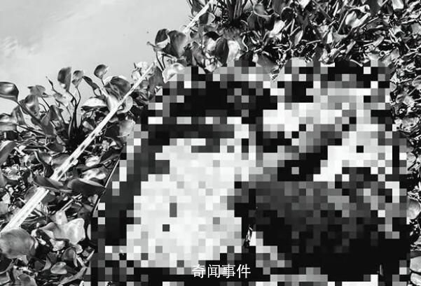 中国男子被同胞杀害藏尸行李箱 背后真相恐怖至极