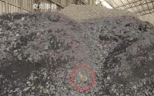被绞死男子家属:工人疑见尸块未报告