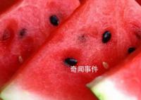 6月西瓜批发价创13年来新高 西瓜批发价同比涨幅远低于前两年