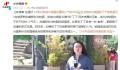 两只旅俄大熊猫体重和人气齐升 吃得香住得好