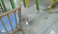 男生说猫屎臭被扣饭 天津大学回应