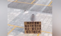 女子举牌求复合 前夫果断拒绝