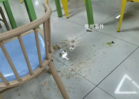 男生说猫屎臭被扣饭 天津大学回应