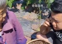 年轻人返乡创业遇老人频繁偷菜 老太太贼心不死