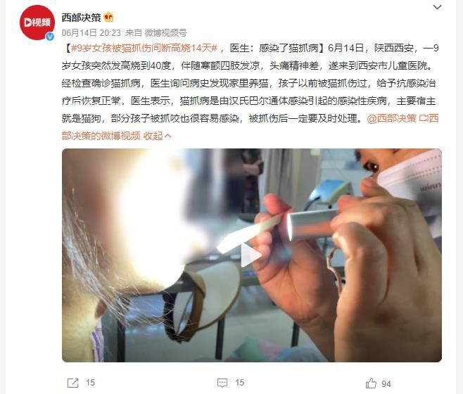 9岁女孩被猫抓伤高烧14天 给予抗感染治疗后恢复正常