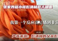 跳桥救人小哥父亲:又担心又自豪