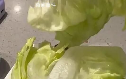 海底捞回应8块钱生菜仅2片 两片可能已经到达了克重