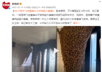 女子家中进蜜蜂 半小时被筑超大蜂巢
