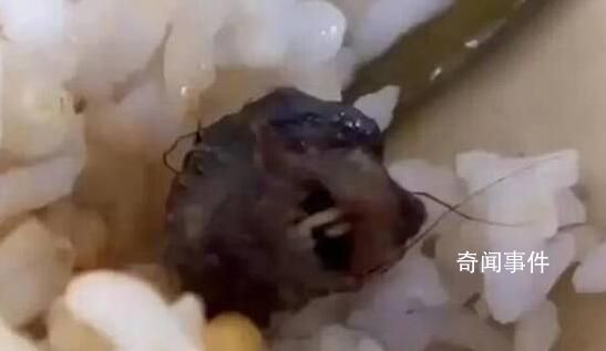 官方:顶格处罚鼠头鸭脖涉事企业