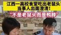 鼠头到底如何一步步变成了鸭脖 真成了指鼠为鸭