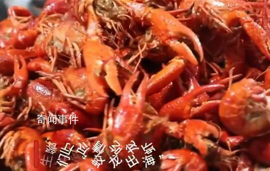 高校请近300名毕业生吃龙虾宴