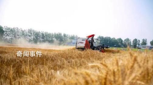 “三夏”农忙正当时 各地生产一线观察