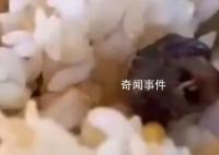 吃了被老鼠污染的食物怎么办?