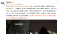 张杰演唱会到中场黄牛仍加价售卖 