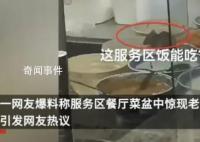 菜盆现两只老鼠餐厅停业整改 并立案查处