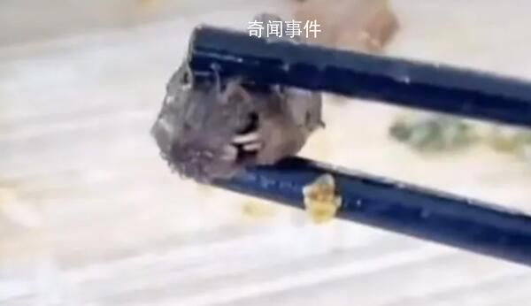 鼠头鸭脖涉事院校周边校食堂多数关停 涉事企业经营700多个高校食堂