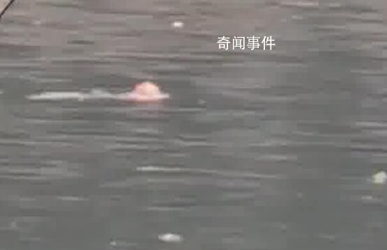 男子跳河轻生后悔漂浮河面等救援 幸得消防及时救起