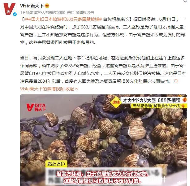中国夫妇日本旅游抓683只蟹被捕 称不知道抓寄居蟹是违法行为