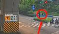 男子杭州绿化带迷路3天 吃野花求生