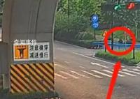 男子杭州绿化带迷路3天 吃野花求生