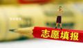 媒体:警惕“网红”言论误导志愿填报