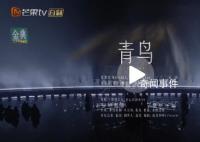 国语版《青鸟》毁童年 中文歌词显得太过柔和